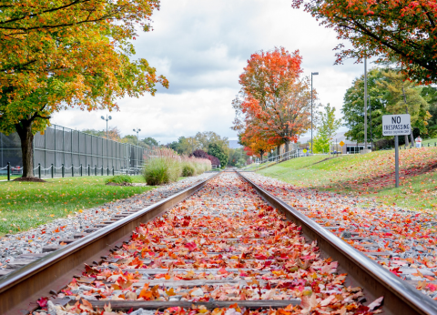 A railroad track covered in colorful fallen leaves leads into the distance.