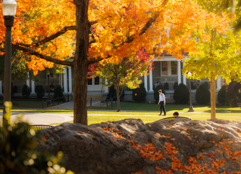 Fall leaves lay on JMU's iconic Kissing Rock, looking out across the Quad.