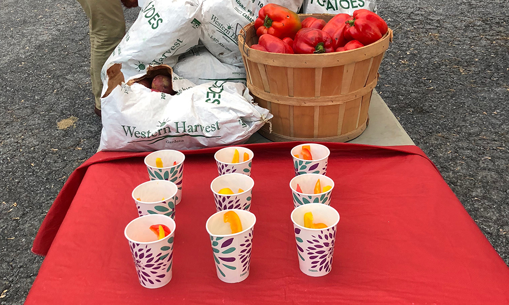 Food display at gus bus