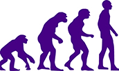 Evolution graphic