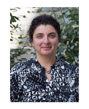 Dr. Ozlem Ersin