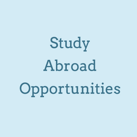 Study Abroad Graphic