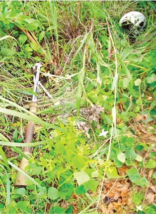 Figure 2. Remains found near an item of UXO on a former battlefield in eastern Democratic Republic of the Congo. Image courtesy of Roly Evans.