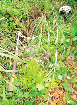 Figure 2. Remains found near an item of UXO on a former battlefield in eastern Democratic Republic of the Congo. Image courtesy of Roly Evans.