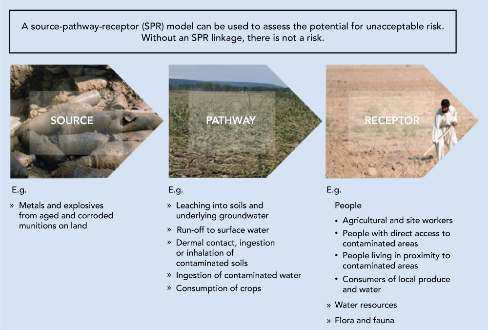 Figure 2. SPR Model.