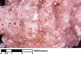 Image 4. An image from a microscope of sand particles taken from the ground featured in this article. Notice how particles are quite granular.