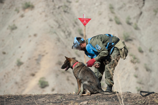 MDD team clearing hazardous areas in Tajikistan. All images courtesy of the author/FSD.