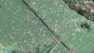 High resolution satellite image showing crater damage to agricultural land in June 2022, Dovhenke, Kharviv Oblast.