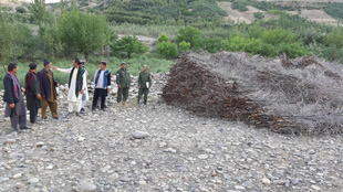 Socioeconomic impact assessment—trees cut by locals on land that was cleared and handed over by FSD in Afghanistan.  Image courtesy of FSD.