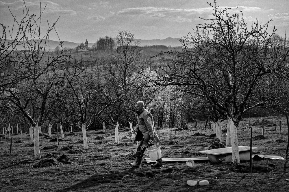 Simo Mihajlović tends to his fruit trees in Gornje Village. This was the front line during the conflict and the landmines in the gullies still act as a barrier between communities.