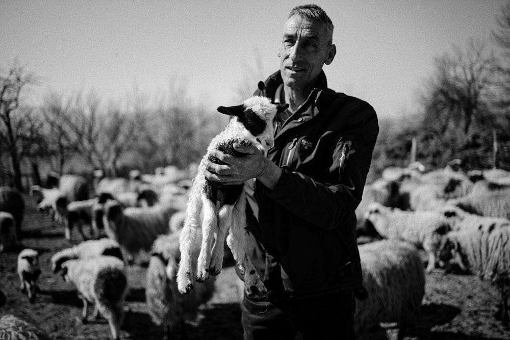 Nehrudin and Zuleja Alihodić live a hard farming life high on a hill overlooking a beautiful valley.