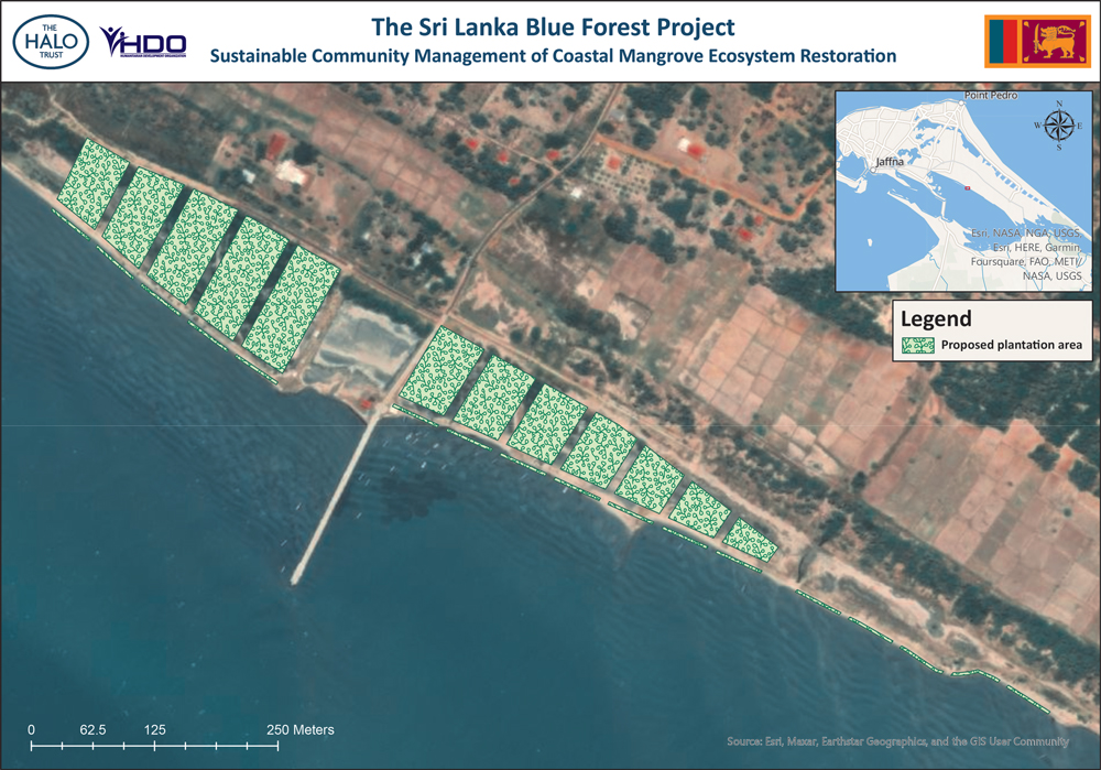 Top-down view of a map of a plantation on a shoreline; heading text reads "The Sri Lanka Blue Forest Project".