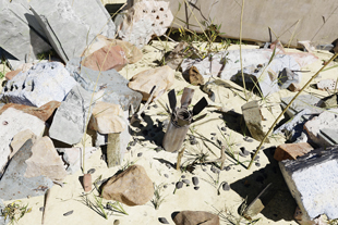 Computer generated image in desaturated colors of a submunition face down in the ground surrounded by debris.