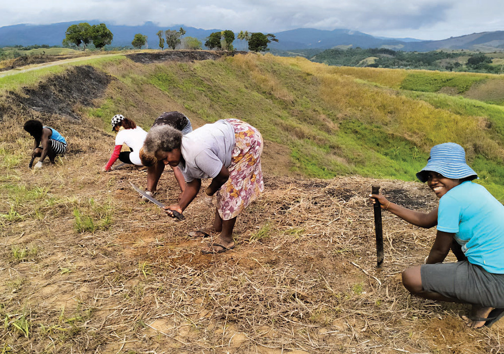 Several women on a hilltop with machetes chop grass; one woman closest to the view is smiling.