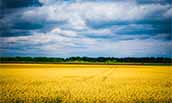 013123-ukraine