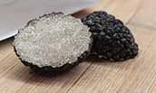 022823-truffle