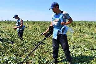 Two deminers with blue personal protective equipment in a grassy field.