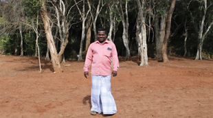 A man in a pink shirt stands on dirt ground in front of a stand of trees.