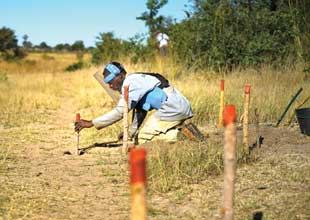 A man bent over a marked area in a field looking for landmines.