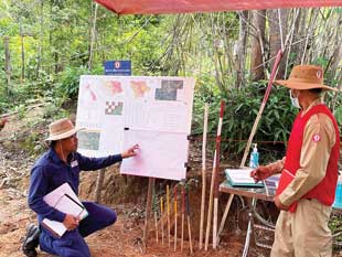 Two people in the woods look at maps and other documentation on a bulletin board