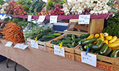 A variety of fresh vegetables for sale at the Harrisonburg Farmer's Market - Fall 2020
