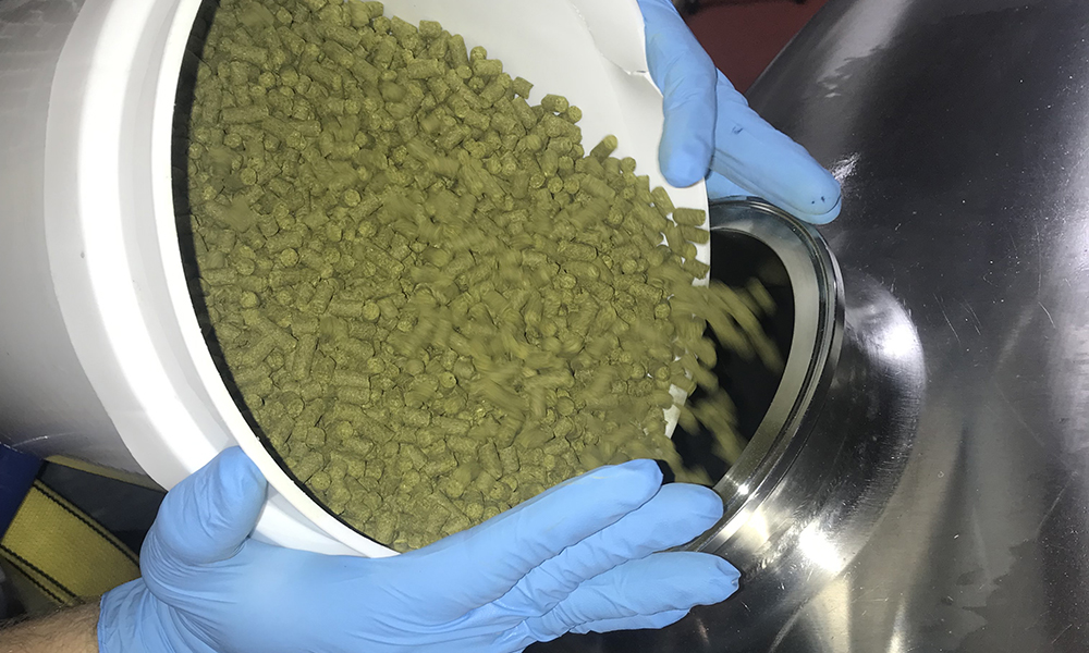 Hops being poured into a brite tank at Pale Fire Brewing Co.