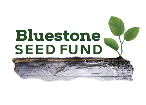bluestone-seed-fund-2c-logo-480x346.jpg