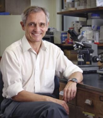 Dr. Pfaff