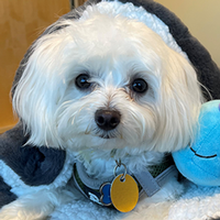 Profile Image for Milo  