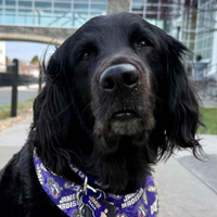 Profile Image for Naia  