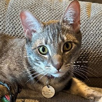 Profile Image for Pen  