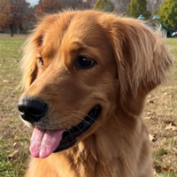 Profile Image for Willow  