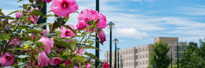 Flowers on East Campus