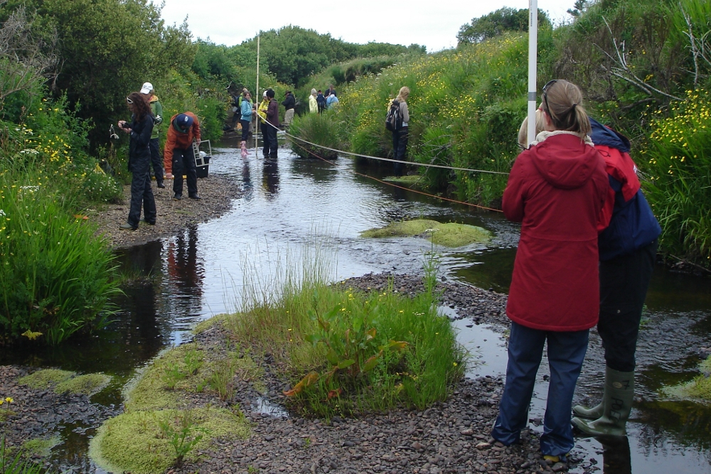 ireland stream morphology