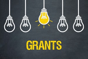 light bulbs with the word "grants"