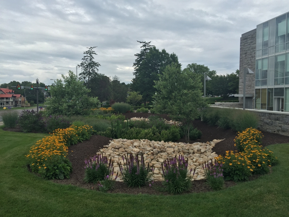 Duke Hall Garden