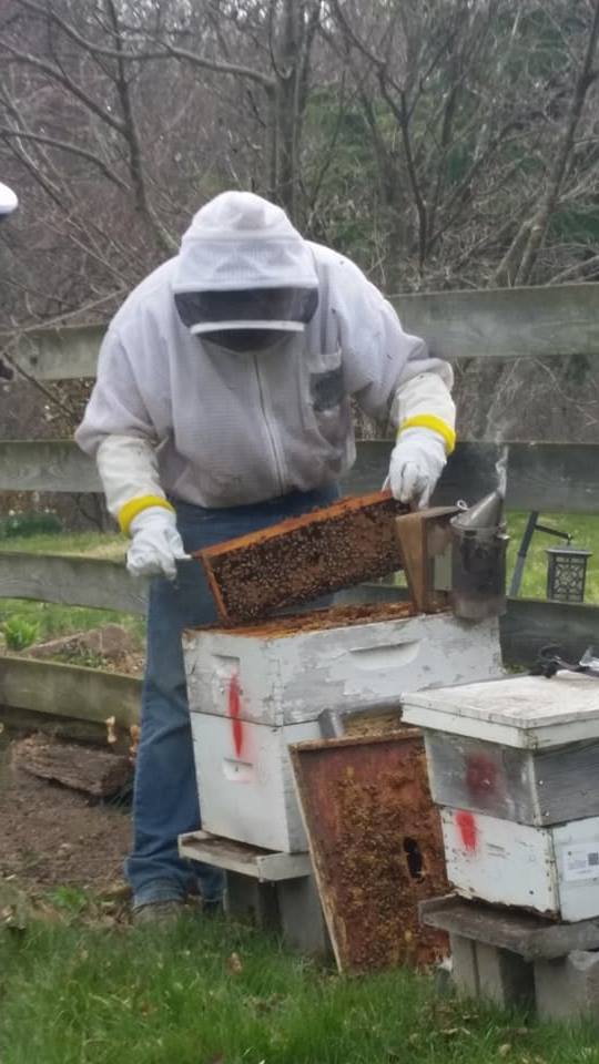 Hott Apiary image