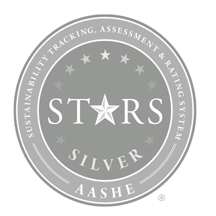 STARS silver