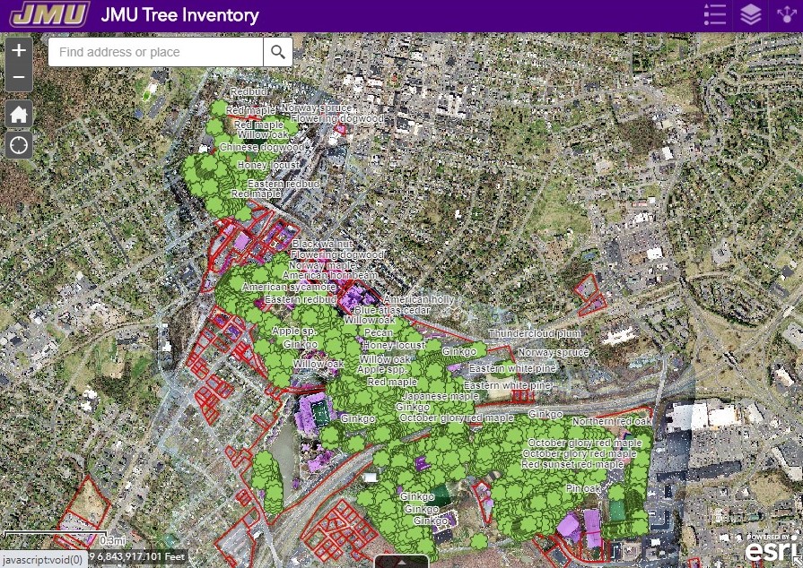 Tree Inventory