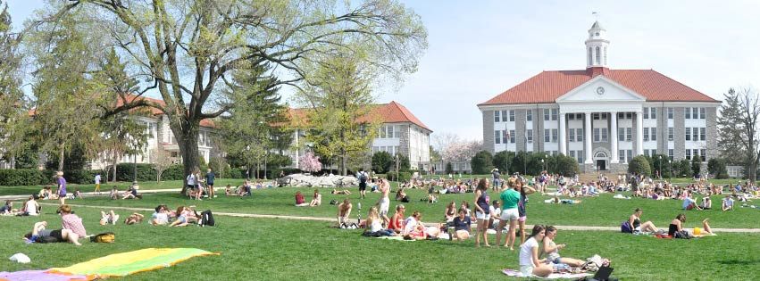 Students on the Quad