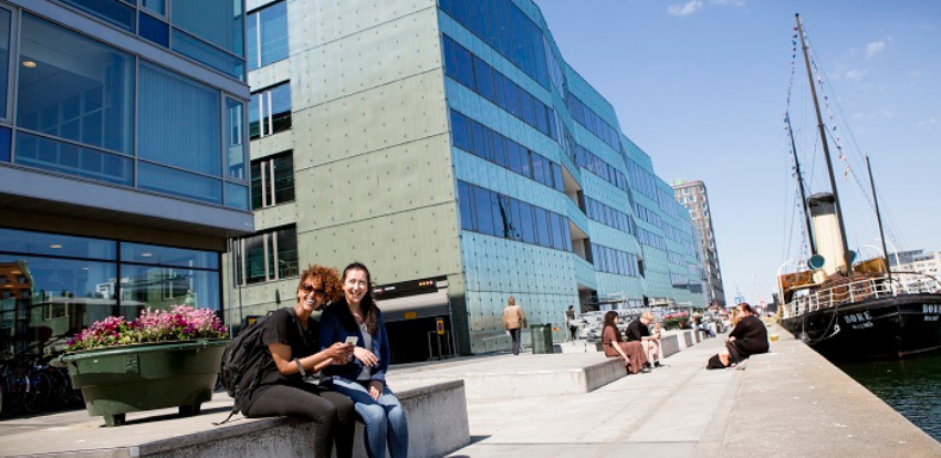 James Madison University Malmo University