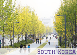 image for Yonsei University