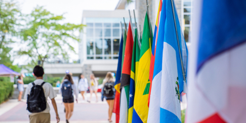 international flags