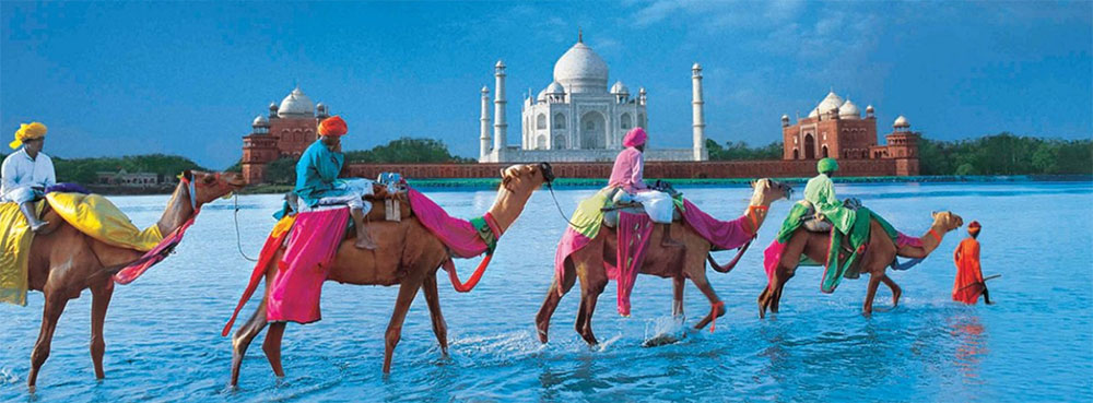 Decorative Cover Photo Image
