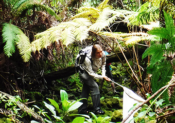 Phoebe Cook catching damselflies