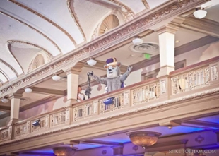 Duke Dog on Church Balcony at Wells Wedding - March 2016 - Mike Topham