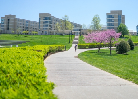 image for Navigate JMU