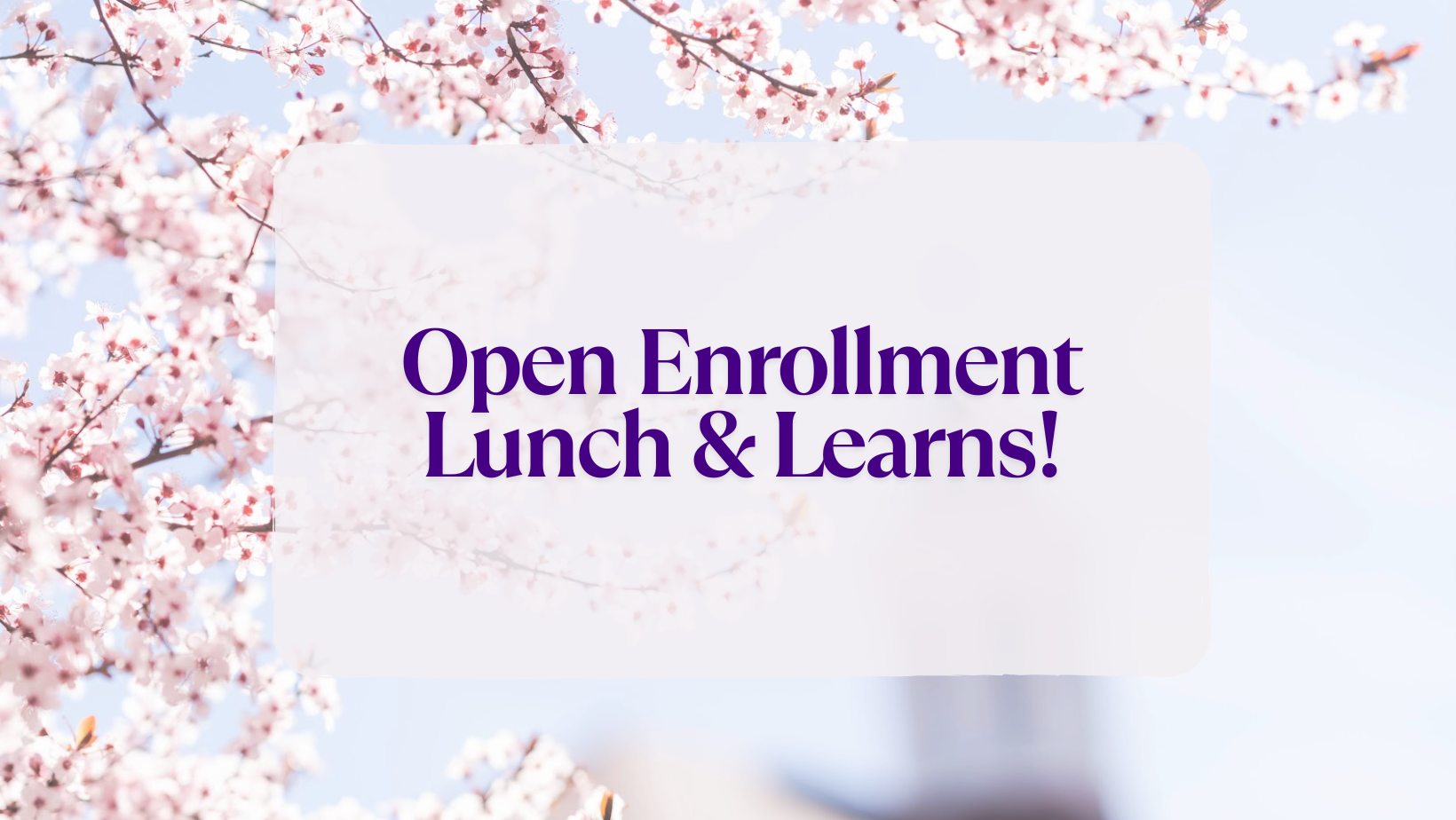 Open Enrollment Lunch & Learns!