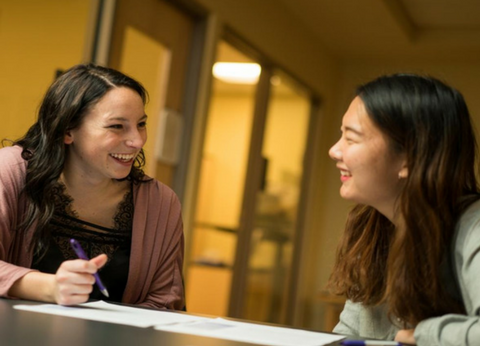 image for English Language Consultations