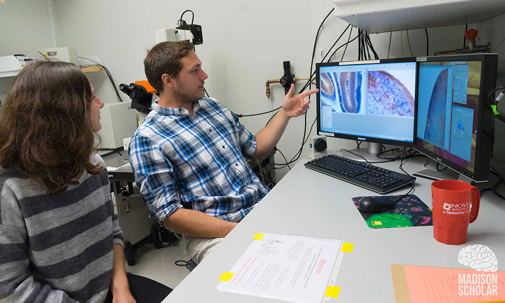 Sean Gay and Isabel Lamb-Echegaray sit side by side looking at images of a brain scan on two side-by-side computer screens.